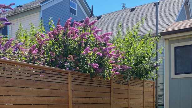 A wooden fence, a wooden bench, and a house with a garage. - Quaint Downtown Cottage (Astoria)