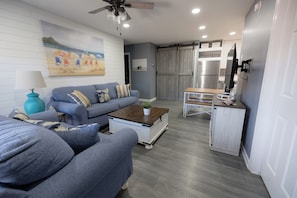 Smart TV, fireplace, books