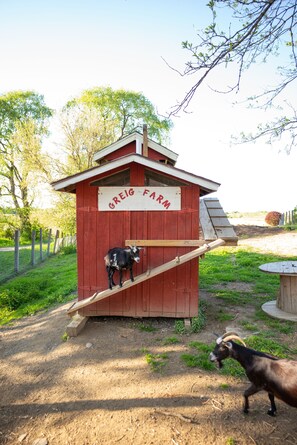 Áreas de la propiedad