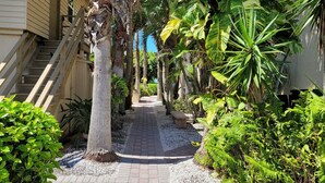A pathway flanked by lush tropical plants leading to a building with a staircase. - Renovated Beach Paradise. Ground Floor unit 64 (Longboat Key)