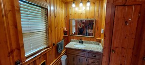 Combined shower/bathtub, hair dryer, towels, soap