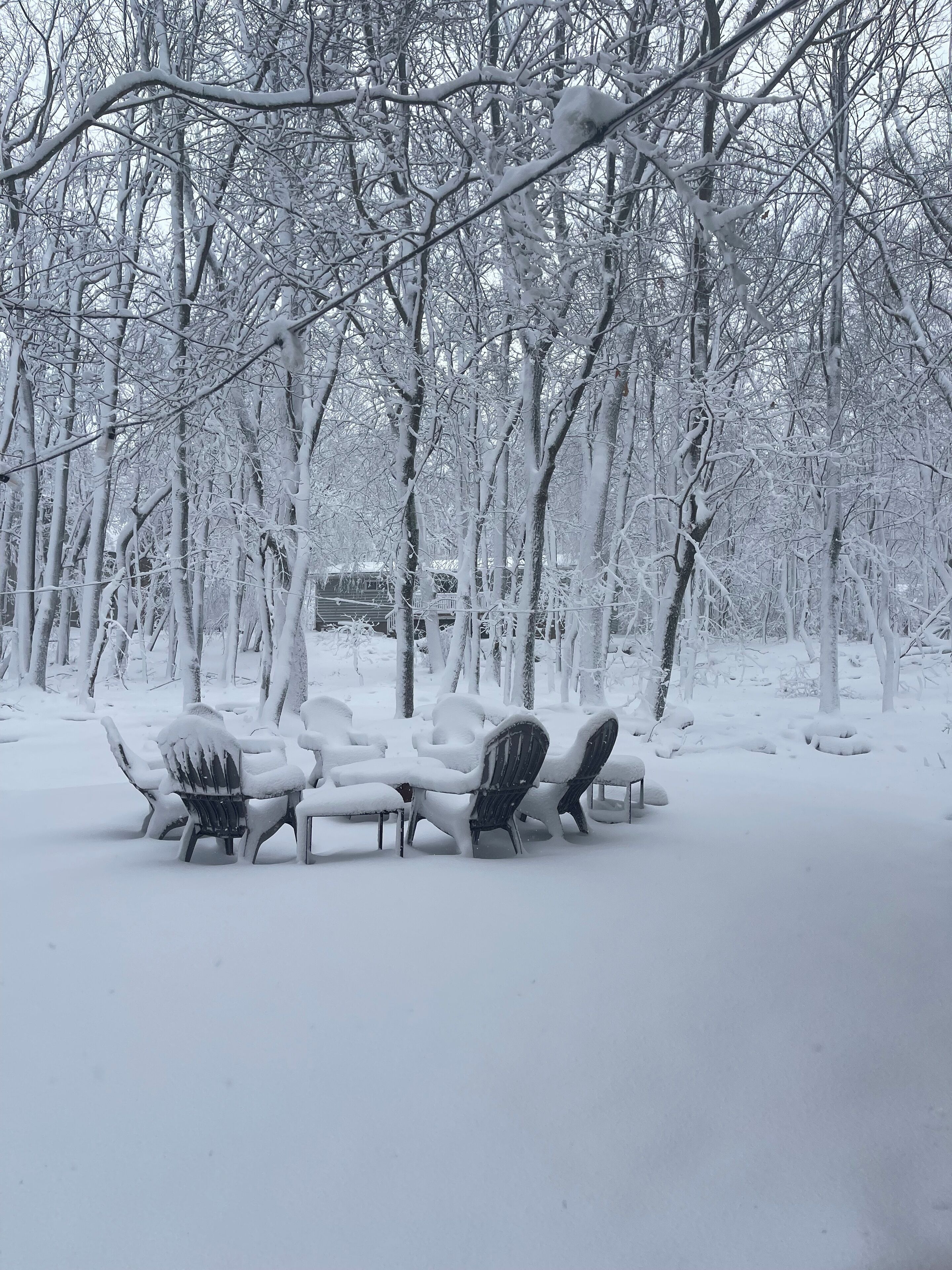 A snow-covered outdoor seating area with chairs and tables, surrounded by trees.