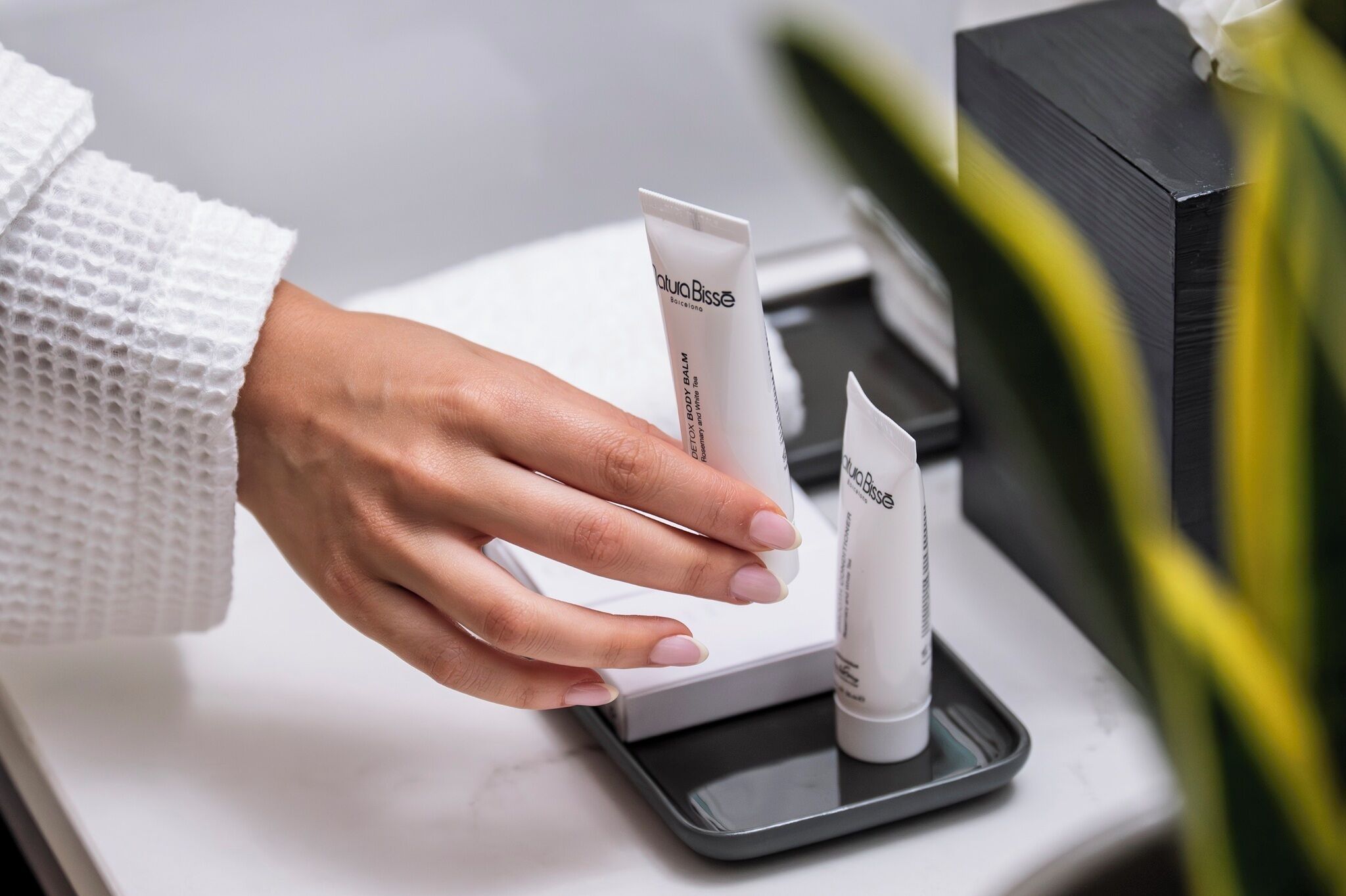 Foto - Antiga Casa Buenavista