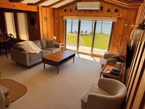 Télévision, cheminée, lecteur de DVD, livres