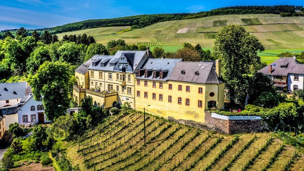 A large yellow building with multiple windows and a prominent entrance, surrounded by lush green fields and trees. - Vacation at the winery (Maring-Noviand)