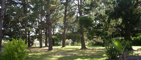 Parco della struttura
