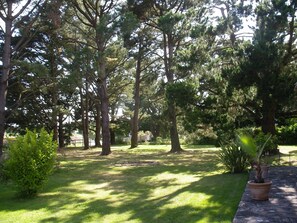 المنطقة المحيطة بالمنشأة