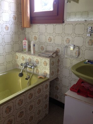 Bathtub, hair dryer, soap, toilet paper