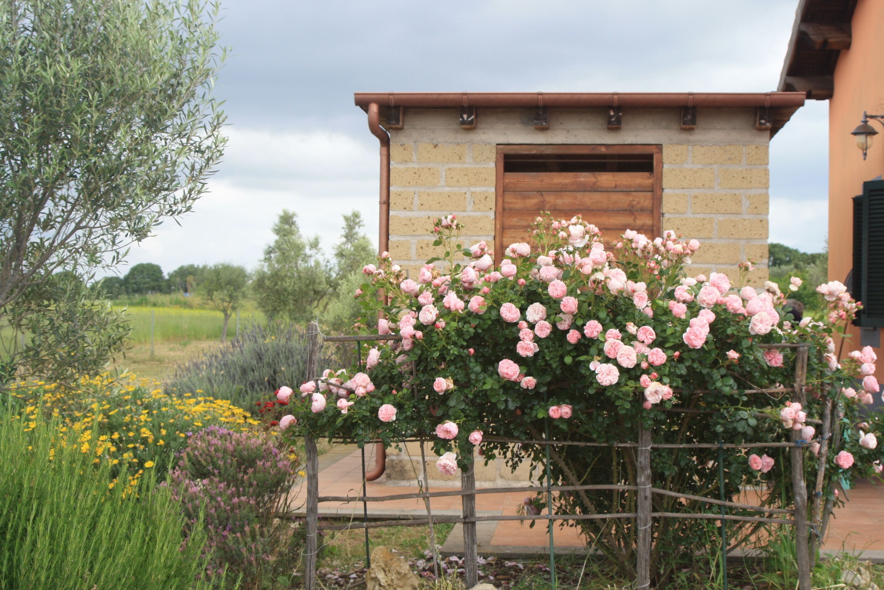 Parco della struttura