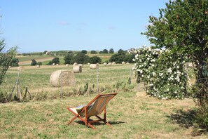 A chair in a field with hay bales and a flowering tree. - Piccolo Casale Tarquinia (Tarquinia)