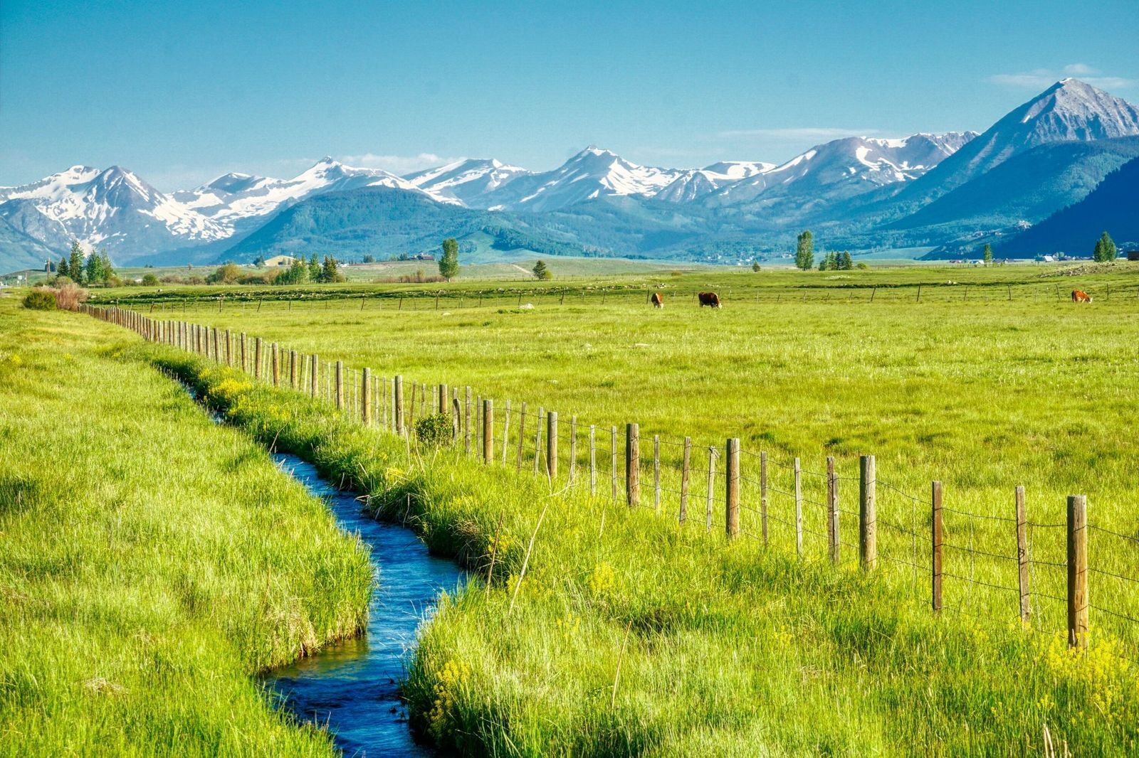 Un paysage rural avec un champ herbeux, un petit ruisseau et des montagnes en arrière-plan.