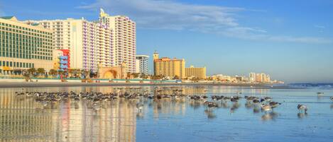 On the beach, sun-loungers, beach towels