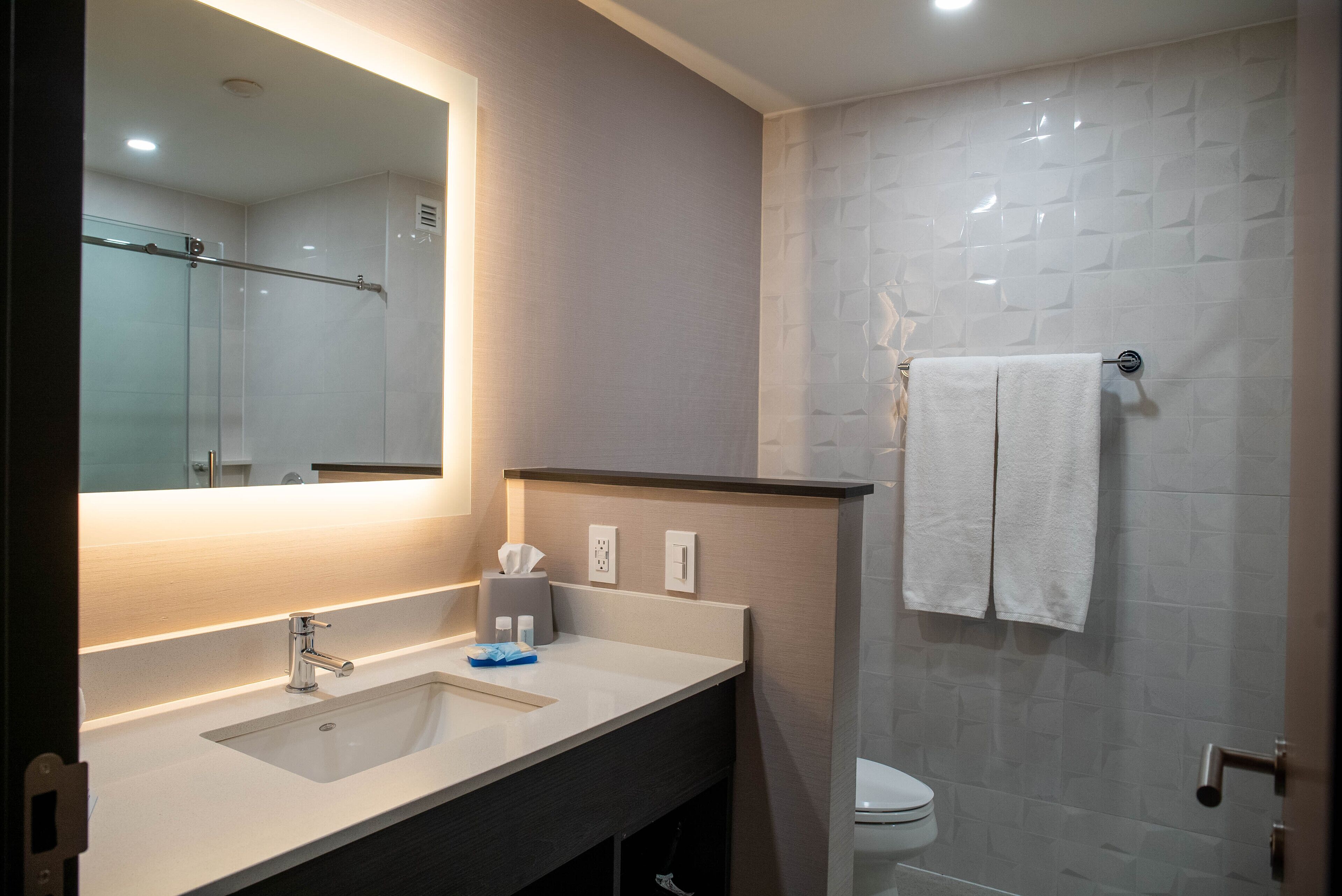 suite, 1 bedroom | bathroom | shower, free toiletries, hair dryer