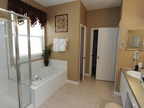 A bathroom with a bathtub, a shower, a sink, and a toilet. There is a potted plant and a towel rack. - Windsor Palms 48 (Kissimmee)