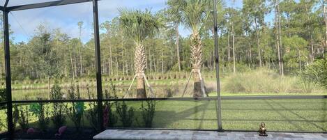 屋外プール、温水プール