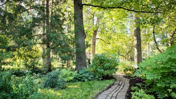 A stone pathway winding through a lush garden with dense foliage and tall trees. - Briar Rose  (Spokane)