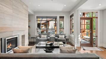 TV connectée, cheminée, livres, chaßne hi-fi