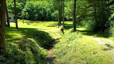 Secluded Mountain Lakehouse, Pets Welcome