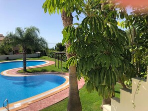 A swimming pool with a curved edge, surrounded by a well-maintained lawn and palm trees.