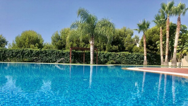 A clear blue pool with a tiled edge, surrounded by palm trees and a hedge. - 2 Bed Penthouse - Sleeps 4 - Pool - Sea Views (Finestrat)
