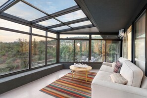 Smart TV, fireplace, books, music library