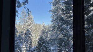 A view from a window of a room with a view of snow-covered trees and a clear blue sky. - Treasure in the Trees (Twain Harte)