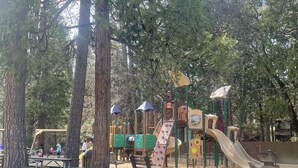 A playground with slides and climbing structures surrounded by tall trees. - Treasure in the Trees (Twain Harte)
