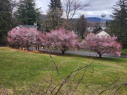Glenwood Inn - Stroudsburg