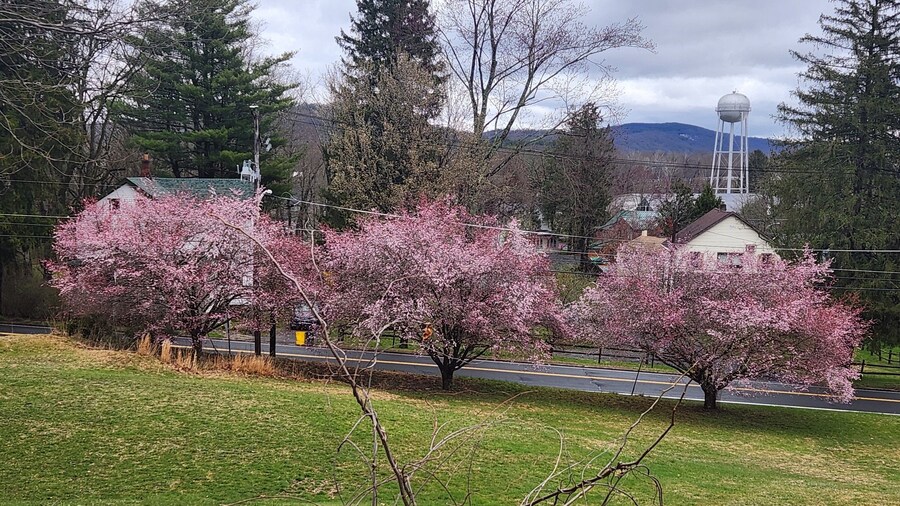 Glenwood Inn - Stroudsburg