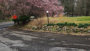 A road with a speed limit sign, a traffic light, and a cherry blossom tree. - Glenwood Inn - Stroudsburg (Delaware Water Gap)