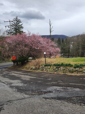 Exterior - Glenwood Inn - Stroudsburg (Delaware Water Gap)