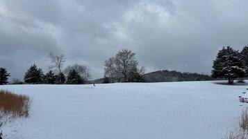 A snowy landscape with trees and a clear sky.