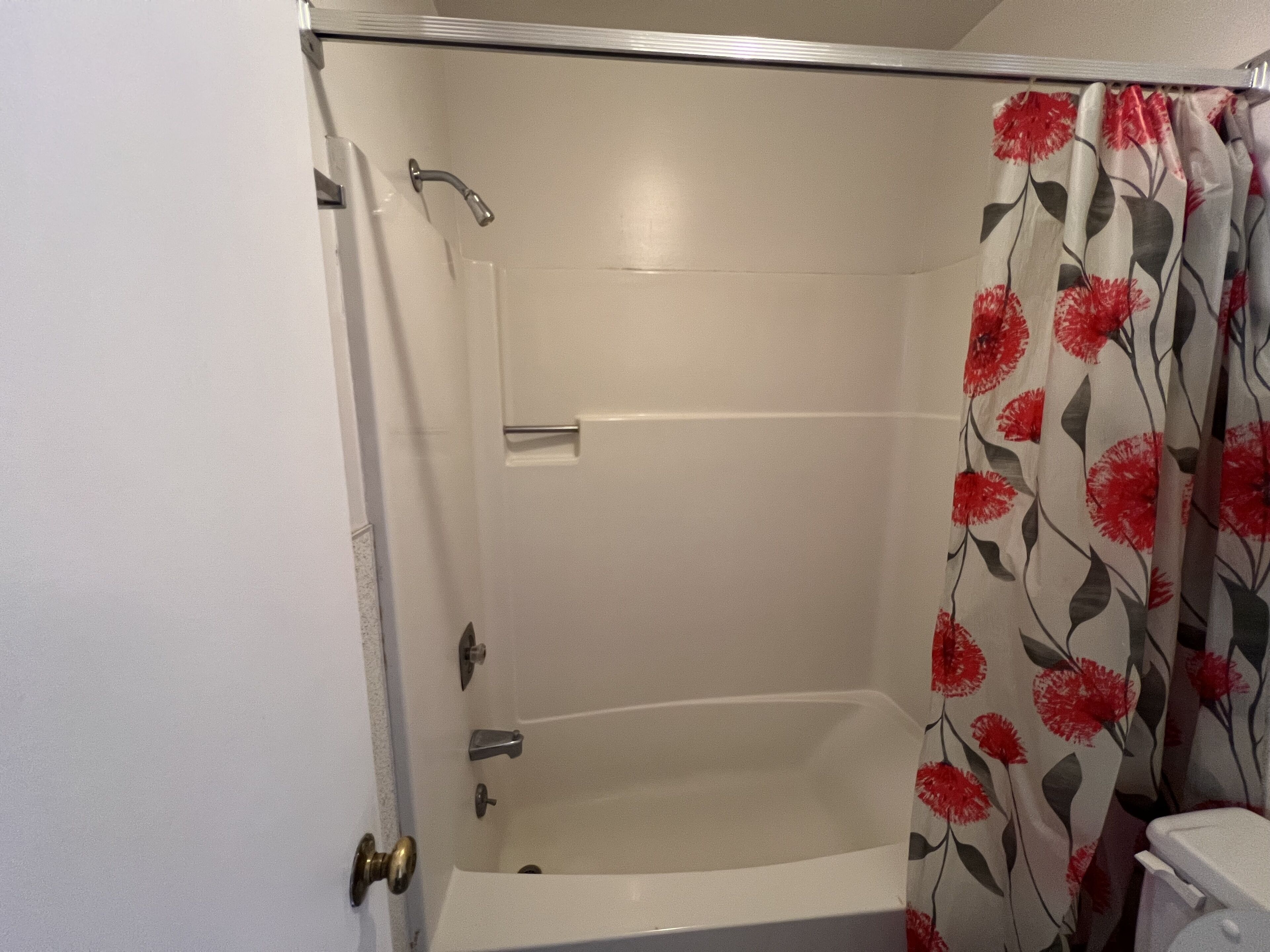 A shower with a glass door, a showerhead, and a curtain with a floral pattern.