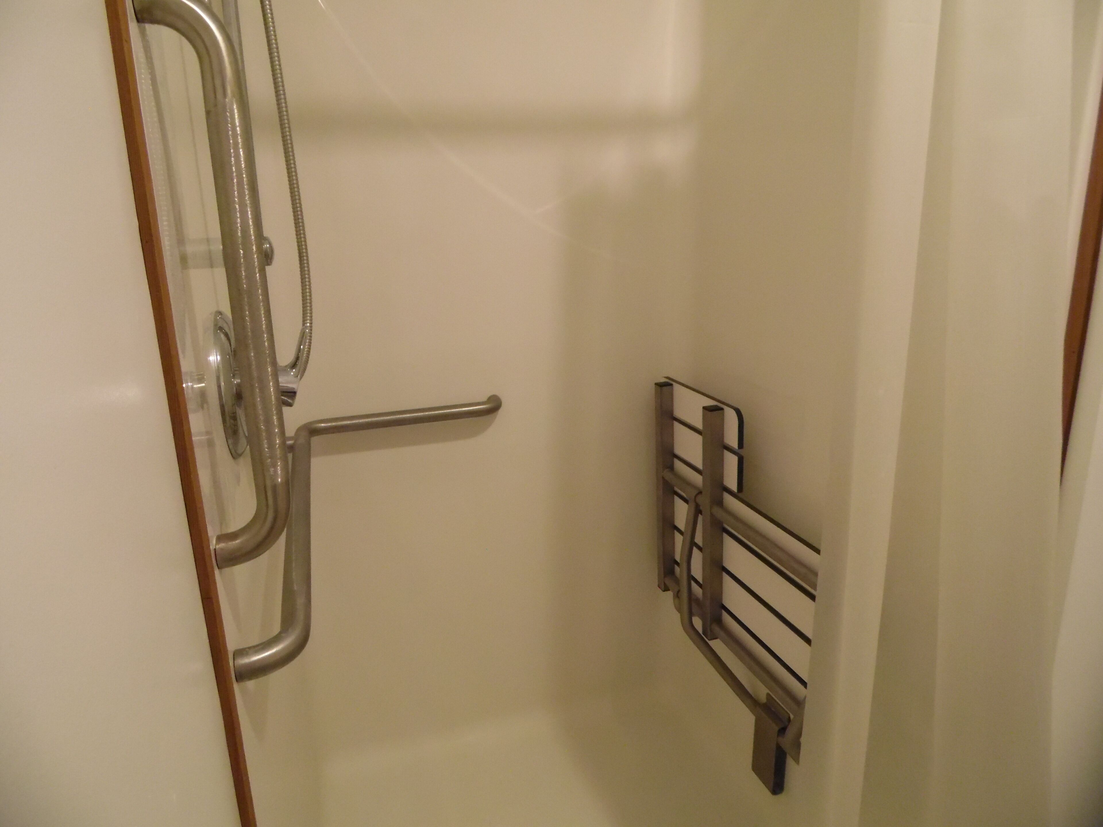 A bathroom with a shower door, a towel rack, and a handrail.