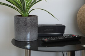 Une petite table sur laquelle se trouvent un pot de plante, une télécommande noire et un haut-parleur Bose noir.