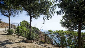 A coastal pathway with metal railings, trees, and a view of the sea. - RESIDENZA LA SCOGLIERA - MONO N° 6 LA SCOGLIERA (Rio Marina)