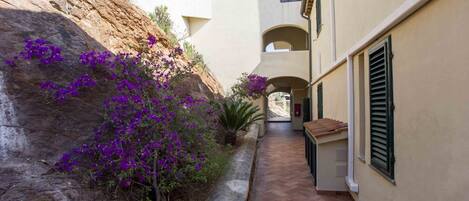 Parco della struttura