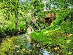 A natural landscape with a stream, dense greenery, and a wooden bridge.