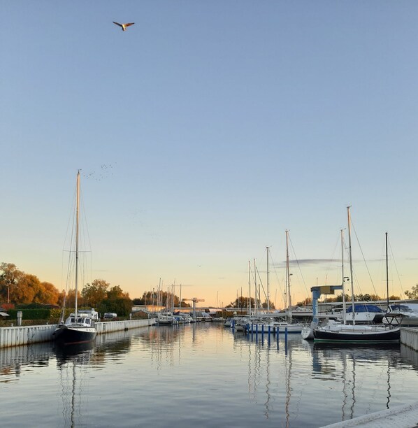 A marina with boats docked, calm water, and a clear sky.
