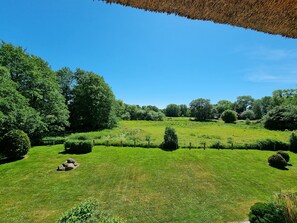 Immagine non classificata, 5 di 27, pulsante