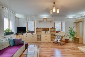 Flat-screen TV, fireplace, stereo - Farmhouse Blackberry Pool&wellness (Vransko)