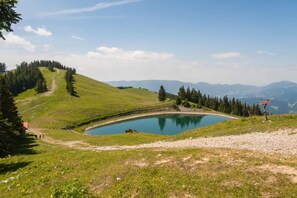 Exterior - Farmhouse Blackberry Pool&wellness (Vransko)