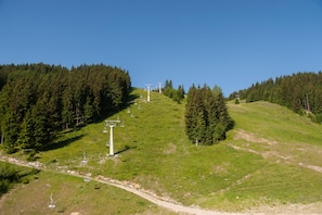 Exterior - Farmhouse Blackberry Pool&wellness (Vransko)