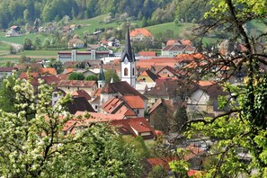 A town with a prominent church tower, red-roofed buildings, and lush greenery. - Pool & Wellness Chalet Sunshine (Vransko)
