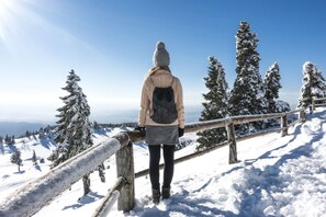 A person standing on a snowy path with a wooden railing, surrounded by snow-covered trees and a clear sky. - Pool & Wellness Chalet Sunshine (Vransko)