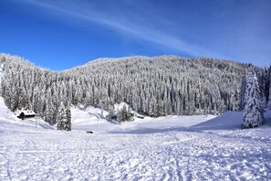 Exterior - Pool & Wellness Chalet Sunshine (Vransko)