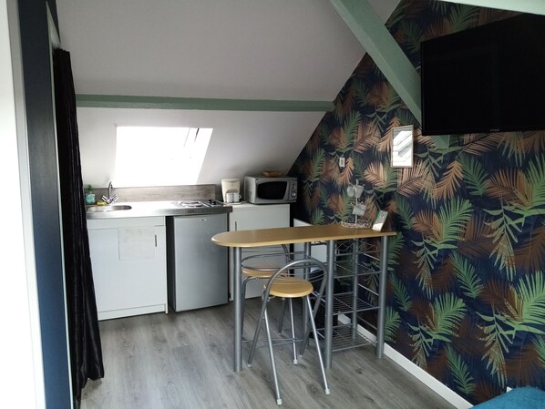 Classic Studio | Private kitchen | Fridge, microwave, stovetop, toaster