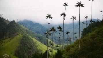 Apartment (Testobjekt - NICHT BUCHEN) | Exterior