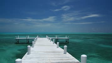 Apartment (Testobjekt - NICHT BUCHEN) | Beach