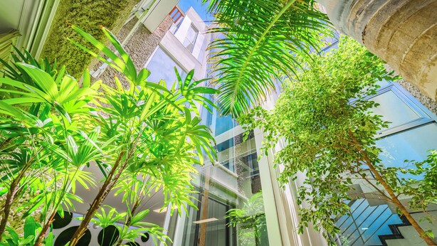 A modern building with a glass facade, a staircase, and lush indoor plants.